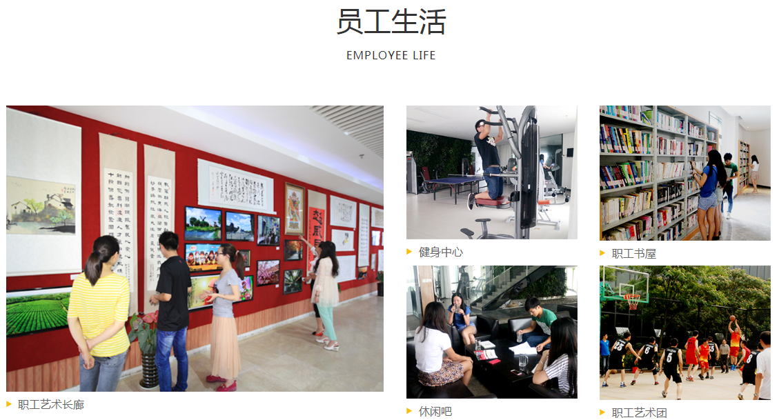 人才招聘(图2)